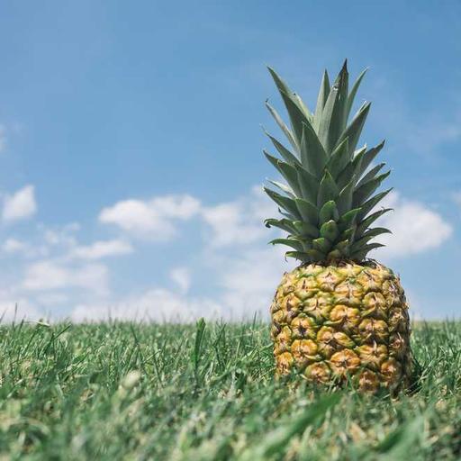 Arsitektur Sebagai Cerminan Peradaban Suatu Bangsa