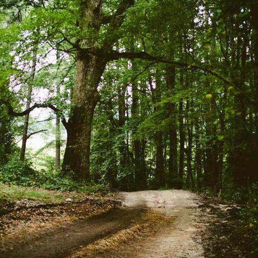 Digitalisasi Keuangan dan Perubahan Pola Transaksi Global