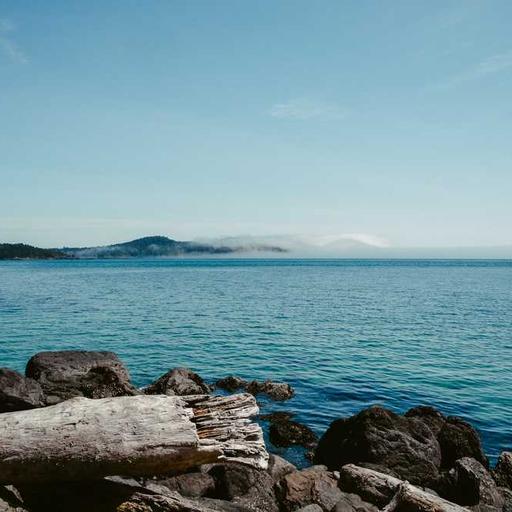 Fotografi Sebagai Cara Menangkap Cerita Kehidupan